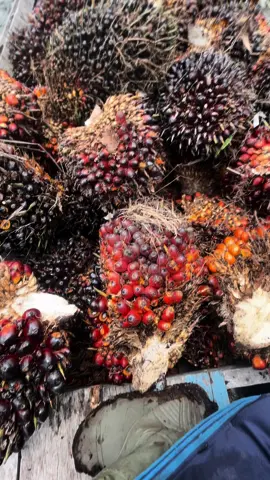 On proses🫶🏻 #xyzbca #JelajahRamadan #fyp #fyp 