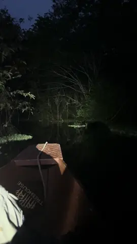 #peru🇵🇪#peru#amazonia#amazonas#rioamazonas#loreto#loretoperu#iquitos#treehouselodge#selvaamazonica#inca#exploracionnocturna#exploration#nightexplore#explore 