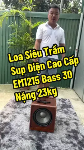 Loa siêu trầm, sub điện cao cấp 500w EM1215 bass 30 vỏ thùng gỗ nặng 23kg. Tăng cường âm trầm cho dàn âm thanh, loa kéo #loa #sub #loasieutram #subdien #loacongsuatlon 