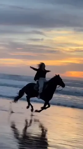 #عبدالحليم_حافظ #علي_حسب_وداد_قلبي_يا_بوي 