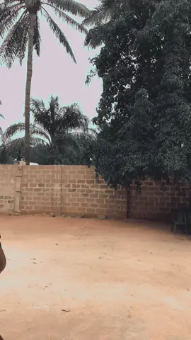 Looking looking for you 👀🫵@Divine 🥺❤️ #fyppppppppppppppppppppppp #fyp#viralsound #tiktoknigeria🇳🇬 #fypシ゚viral #trendingsound#dancechallenge#dance 