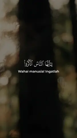 Murottal Al-Quran Merdu | Surah Fathir Ayat 3 | @obaidamuafaq .  .  > Follow @murottal.in .  .  #murottal #alquran #renungan #ramadhan2024 #ramadankareem 