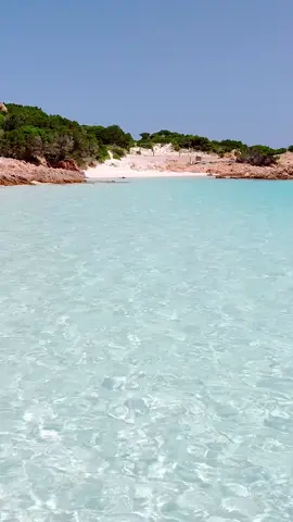 La Perla dell’Arcipelago di La Maddalena Rosa di Budelli 😍💙💎 [ 4K ] Sardegna World #spiaggiarosa #sardegna #sardinia 