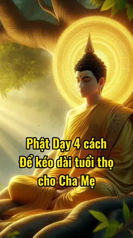 Phần 43: Phật dạy 4 cách để kéo dài tuổi thọ cho Cha Mẹ #phatphapnhiemmau79 #nammoadidaphat #phatdaydieuhay #tinhtam #fyp #CapCut   