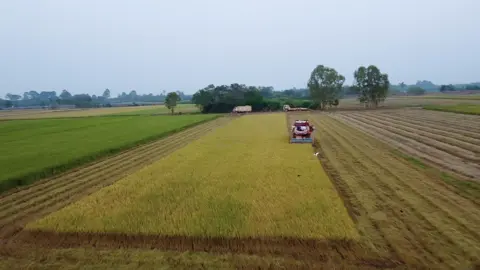 #LightCut มันคือรถอะไร เพิ่งเคยเห็นครั้งแรก😁