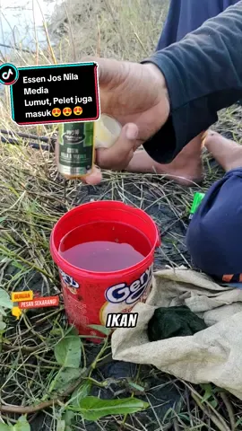 Langsung Tes gacor essen nila, gas yang belum punya  #mancing #mancingnila #mancingnilababon #essennila #essenmujair 