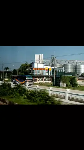 Sugeng Rahayu vs kereta 🤪🤙 #sumberslamat #sugengrahayu #sumbergrop #buscomunity #sumberkencono #🐬🐬🐬 #gropsumber #sugengrahayu☠️ #kai@DAFA mania 🎐 