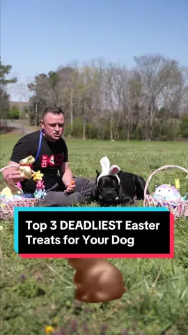Top 3 DEADLIEST Easter Treats for Your Dog #dog #dogs #puppy #doglover #dogsoftiktok #easter #fyp 