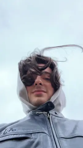 How many times did I say chihuahua 