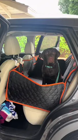 No more muddy car seats!!!  #labrador #PetsOfTikTok #labpuppy #labradorretriever #fyp #viral #chocolatelab #1min #longervideos #puppylove #ad 