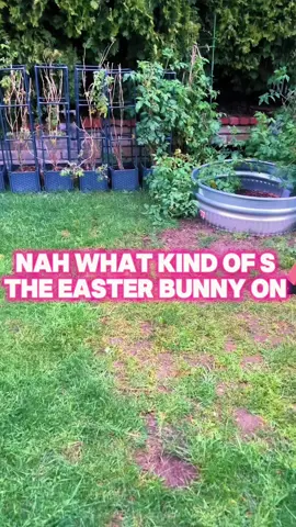 Easter bunny doing too much #fy #fyp #easter #viral 