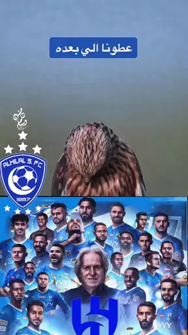 #الهلال#الزعيم#زعيم_اسيا#الموج_الازرق#وسام_منشي#هلالي#سافيتش#نيفيز#هلالهم_مرعب#كبير_الرياض#الهلال💙#عطونا_اللي_بعده