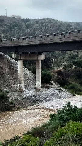 غايتي لآمن فهقت المباني والديار                                    ‏وأتحرر من قيود المدن والآ نظمه #جفران_بن_هضبان #fy    #امطاراليوم #سيول_الجنوب #البشائر #fypシ゚viral    #الهاشتاقات_للشيوخ #اجواء_الجنوب #اجواء_رمضان    #الشعب_الصيني_ماله_حل😂😂 #اكسبلورexplore 