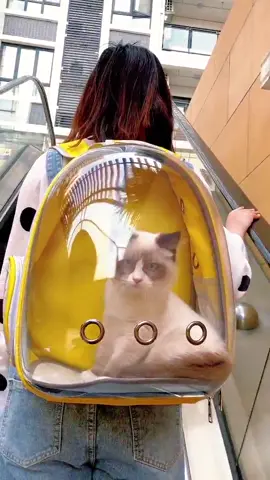 Transparent Astronaut Pet Cat Carrier Bag Japanese Transparent Pet Bag backpack Capsule #goodthings #goodproduct #petsupplies #goodproductsrecommendation 