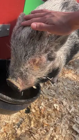 easter shenanigans 🐣💕