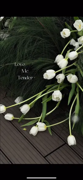 Hình nền xin vía tình duyên cho các đồng nghiệp đây ạ🥰#ninhduongstory #lovemetender #ninhanhbui#nguyentungduong#xuhuong    