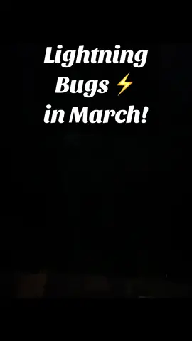 Have you ever seen lightning bugs this early in the year?! #likeandfollow #gardening #SpringIsHere 