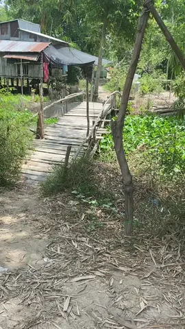 #ngôi nhà tuổi thơ #và quán nghèo ở quê tôi#hiếu đồng quê#phong cảnh miền tây#miêntayquetoi #xuhuong #tiktok #66 f1