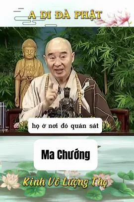 Gặp Ma chướng phải sanh tâm Sám hối 🙏🏻🙏🏻🙏🏻 Lão Hoà Thượng Tịnh Không Chủ giảng Kinh Vô Lượng Thọ   Trích đoạn tập 86 #phapsutinhkhong  #tinhkhongphapsu  #adidaphat #xuhuong  #nammoadidaphat  #xuhuongtiktok  #LearnOnTikTok 