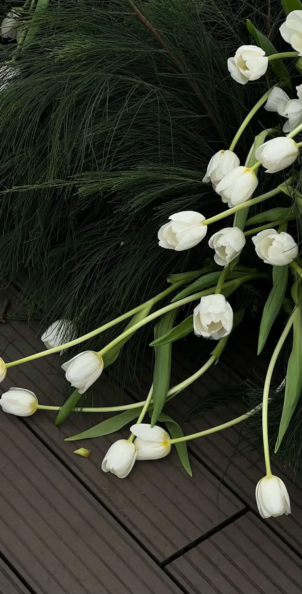 Post này dành cho các đồng nghiệp muốn lưu ảnh nét về ạ 🫶🫶🫶 #ninhanhbui #nguyentungduong #nab #amiuoi #ninhduongstory #lovemetender #hoatulip🌷 