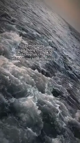 ý mày múnn saooo🥹 #tamtrang #fypシ #ntramm 