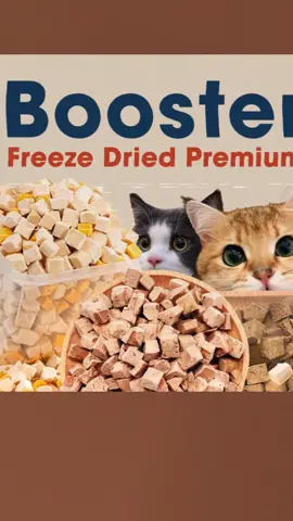 Booster Freeze Dried Premium Cat Dog Treats Chicken Salmon Fish Krill Snack Makanan Kucing Gemok High Protein Booster  #catfood #makanankucing #cat #kucing #fypシ゚viral #fyp #fypシ #宠物 #猫 