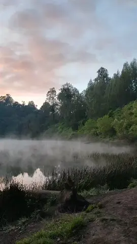 Pemandangannya seindah lagunya #fyp #fypシ #ranuregulo 