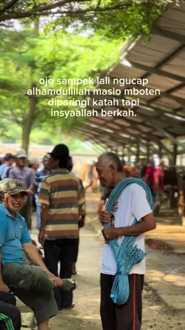 usaha lek gak di imbangi dungo ra jalan woo🔥🤲 #foryou#peternakmuda#kulisapi  #sobatngaret#katakata#pasarsapi  #capcut#fyp#fypシ#foryoupage 