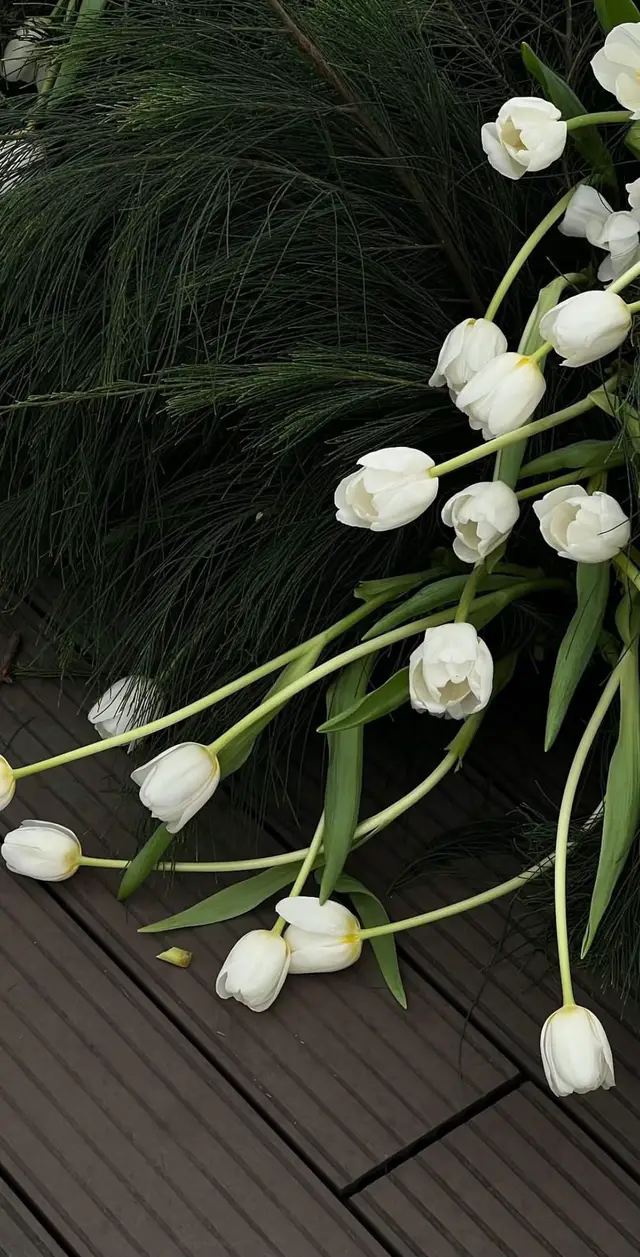 Không chỉ là 10 năm mà mãi mãi về sau chúng ta vẫn như thế 💚 #lovemeTENder #10aniversary #ninhanhbui #nguyentungduong #ninhduongstory #tulips 