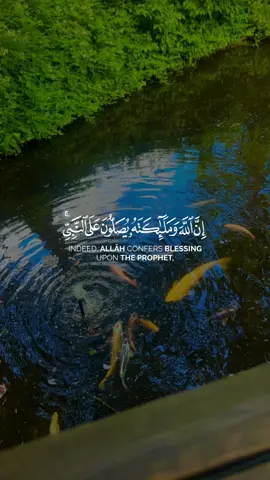 Mashallah tabarkallah ☺️#🤲🤲🤲🤲🤲🤲🤲🤲🤲🤲🤲🤲🤲🤲🤲 