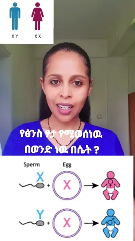 #drhareg #ዶክተርሀረግ #ፃታ #chromosome #gender #እርግዝና 
