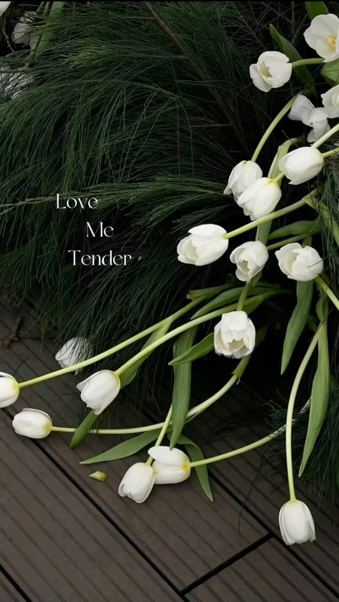 Xin vía hai anh 🩵💙 #ninhanhbui #tungduong #amiuoi  #lovemetender 