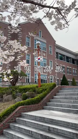 Trường Keimyung - ngôi trường nằm trong top 10 trường đại học đẹp nhất Hàn Quốc 🌸🫶🇰🇷 Nhiều bộ phim đình đám được quay tại ngôi trường này như Love rain (Cơn mưa tình yêu), Boys over flower (Vườn sao băng), East of Eden (Phía đông vườn địa đàng) #유학생🇰🇷🇻🇳 #duhocsinhhanquoc #대구 #daegu #계명대학교 #계명대 