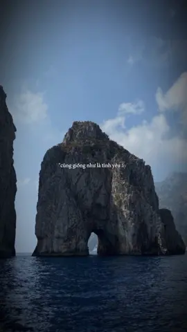 Fake love là một hệ tư tưởng #capcutmaster #kndungmau? 