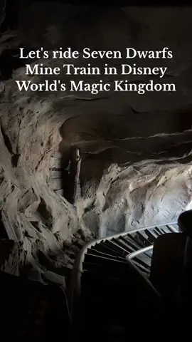 Full front row POV of Seven Dwarf's Mine Train. Located in Fantasyland, Magic Kingdom, Walt Disney World near Orlando Florida USA.   The best time to get in line is right at the end of the day for the shortest wait, or during the parade or fireworks. You can also purchase individual 'Lightning Lane' access to skip most of the wait. Prices range from $10-20 per person depending on the day you're visiting. ✨ @Disney Parks #disneyworld #ride #rollercoaster #disney 