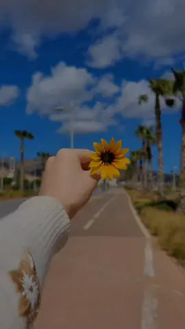 #حواء #كبرياء_انثى🖤 #النساء_للنساء #tiktokarab #وتشاء_انت_من_البشائر_قطرة #واتساب #حالات_واتس #عرب #marocaine🇲🇦 #maroc #nador_city #nador #nador_rif_lhocima #nature #narutoshippuden #حب 