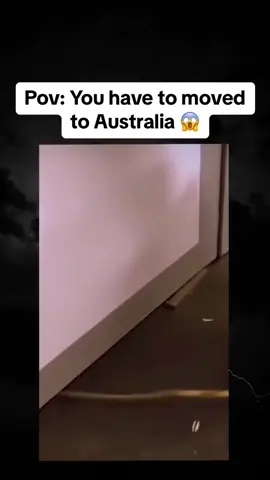 Pov: You have to moved to Australia 😱 #scary #horror #mystery #skinwalker 