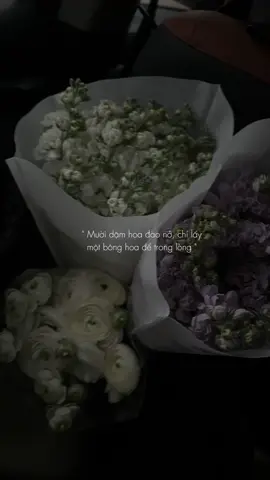 Hoa đẹp đến mấy hoa lại tàn, người đã để trong lòng mãi chẳng thể tan.  #quotes #quotestory #threads #captionsforinstagram #captionfb #captionideas #storytime #storyig #captionbuon 