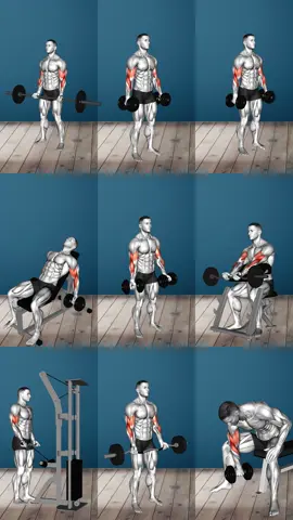 Top 9 BICEPS Exercises from the Lyfta Gym App 1️⃣ Barbell Curl 2️⃣ Hammer Curl 3️⃣ Alternate Biceps Curl 4️⃣ Dumbbell Incline Curl 5️⃣ Dumbbell Biceps Curl 6️⃣ Preacher Curl 7️⃣ Cable Biceps Curl 8️⃣ EZ Barbell Curl 9️⃣ Concentration Curl