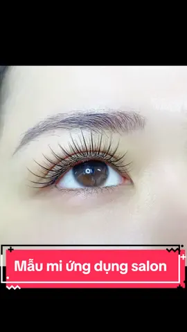 Mẫu mi volume thiết kế ứng dụng cho salon siêu nịnh mắt#T1994ACADEMY #nốimilinhxuân #nốimithủđức #ngọcthắmnốimi #nốimitựnhiên #nốimichuyênnghiệp #nốimidưới #nốimidĩan #nốimisole #nốimiannime #Đàotạonốimithủđức 
