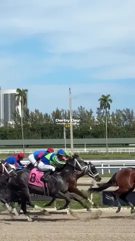 Derby Day 🏇 at Gulfstream Park Racing | Carousel Club 🎠 #derbyday #southfloirda #gulfstreampark 
