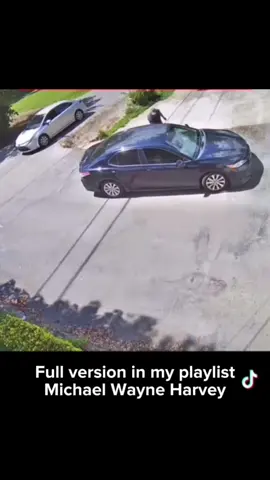 The disappointing conclusion of Michael Wayne Harvey #heybestie #accountability #rx0rcist 