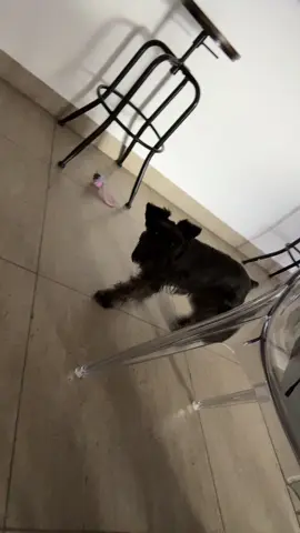 Me la estoy pasando raro 🫣🫣