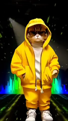 Vidéo drôle animaux   #dance #humour #vidéo #humor #fyl  #pourvouspage#pourtoi #parati #drôle #comedy #friendship #foryoupage #animaux_rigolos #animals #chat #cat 