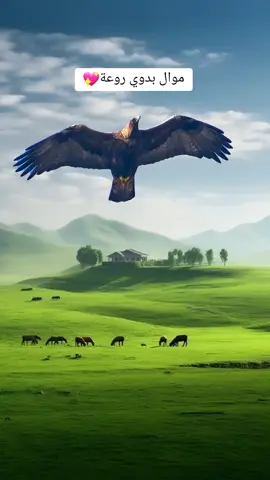 ياطير موال بدوي روعة  #pourtoi #foryou #اكسبلورexplore #fyp #المغربية🇲🇦 #المغرب🇲🇦تونس🇹🇳الجزائر🇩🇿 #fyp #شعبالصينيمالهحل #ناس_الغربة @👑مريم بن مو لا هم أنا الملكة 