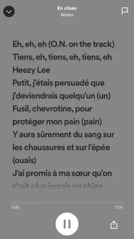 Petit j'étais persuadé que je deviendrai quelqu'un #ninho #ninhosdt #ghostsdt #enchien #pourtoi #viral #lyrics #spotifylyrics