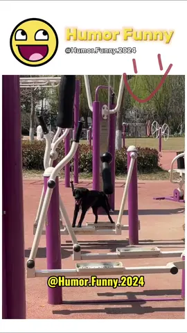 The end. #😂😂😂 #brasil🇧🇷 #engraçado #funny #fotosengracadas #tentenãorir #videos #viral #videos #fubbyvideo #funnyvideos #felicidade #top #viraltiktok #alegria #paranossaalegria 