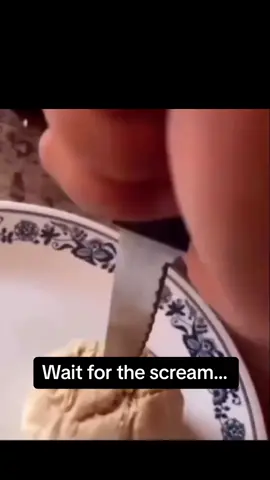 That accuracy tho…  #fyp #fypシ #fy #foryoupage #fypシ゚viral #meme #memestiktok #memes #viral #share #funnyvideo #funnyvideos #funny #global #trend #trending #shorts #literal #relatable #classic #tiktok 