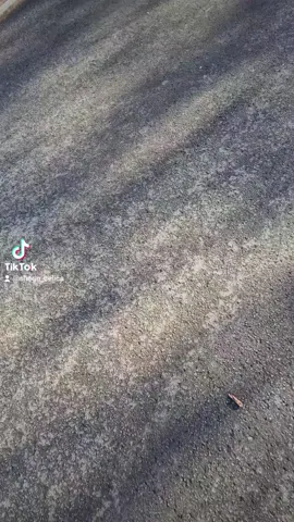 go follow the car page #fyp #ichosetobehappy #carpage 