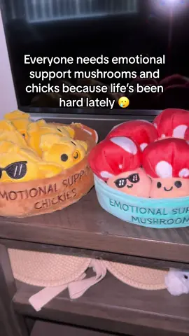 Definitely a must have for those hard times 🥲 #MentalHealth #emotionalsupport #college #collegeessentials #plush 